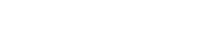 Schiaffino Transportes